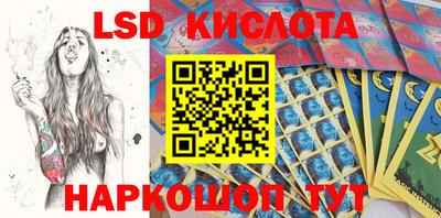 гидра Камышлов