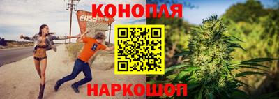 гидра Камышлов