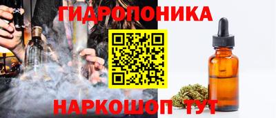 соль ск Кингисепп