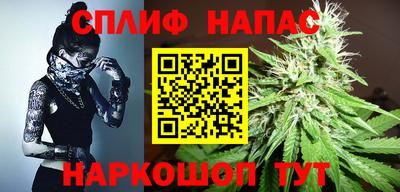гидра Камышлов