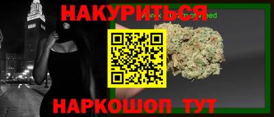 гидра Камышлов