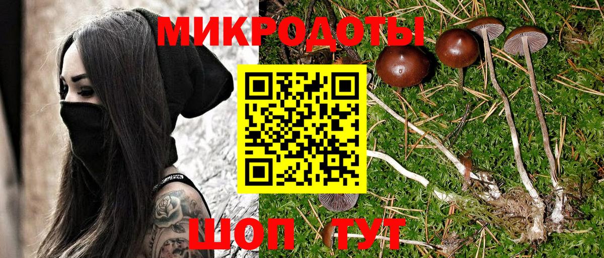 Галлюциногенные грибы мицелий Шарыпово